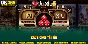 Cách Chơi Tài Xỉu Chuẩn Quy Tắc Và Mẹo Bất Bại Tại OK365